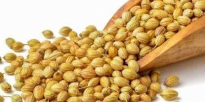 Whole Bold Grade Coriander Seeds