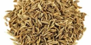 Whole Premium Grade Cumin Seeds