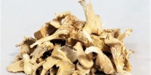 Dried Mushroom Flakes