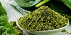Dried Spinach Powder