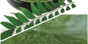 Curry Leaf Powder
