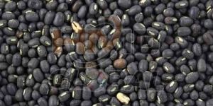 Black Whole Urad Dal