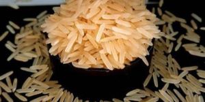 1509 Golden Sella Rice