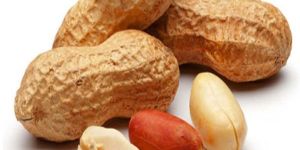 Shelled Peanuts
