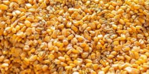 Cattle Feed Maize