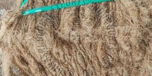 Coconut Coir Fiber
