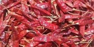 Guntur Dried Red Chilli