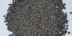 Whole Black Urad Dal