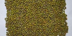 Whole Green Moong Dal