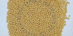 Whole Yellow Moong Dal