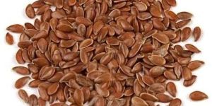 Flax Seeds