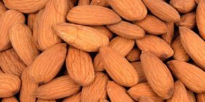 Fresh Almond Nuts