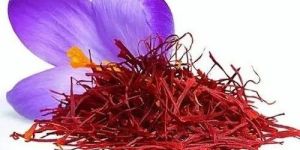Kashmiri Mongra Saffron