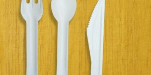 Bagasse Cutlery