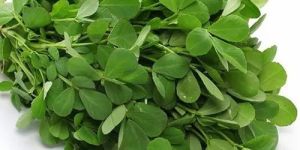 Fresh Fenugreek Leaves
