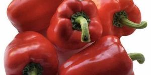 Fresh Red Capsicum