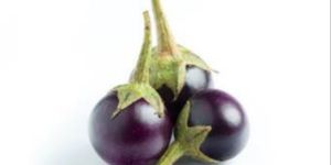 Fresh Round Brinjal