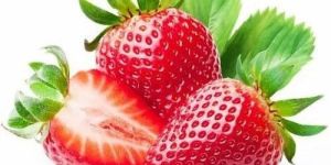 Fresh Sweet Strawberries