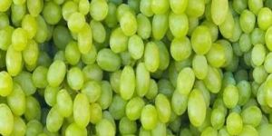 a Grade Fresh Green Grapes