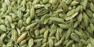 Green Fennel Seeds