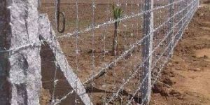 Barbed Wire