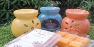 Mini Diffuser Wax Combo Set