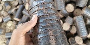 Biomass Briquettes