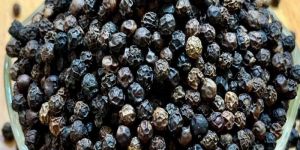 Black Pepper Seeds