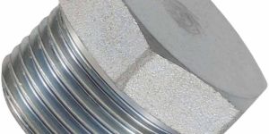 Stainless Steel 310 Forged Pipe Plug