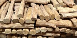 White Sandalwood Logs