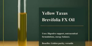 Taxus Brevifolia Oil