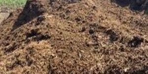 Pure Compost Additive Cow Dung