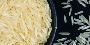 1121 Basmati Rice