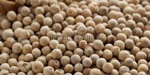 Whole White Pepper Seeds