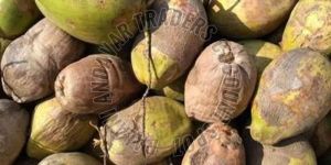 Fresh Green Tender Coconut