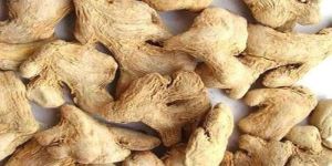Dried Ginger