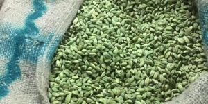 Green Cardamom
