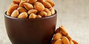Premium Quality Almond Nuts