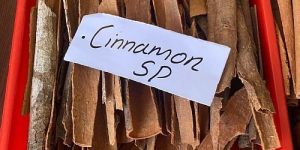 SP Grade Cinnamon Stick