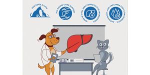 Furever Liverassure Capsules