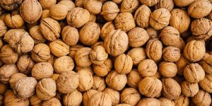 Walnuts Kashmiri Shell