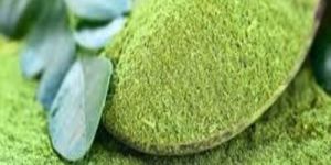 Moringa Powder