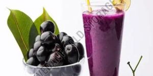 Frozen Blueberry Pulp