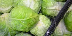Frozen Cabbage