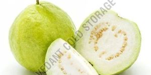 FROZEN WHITE GUAVA