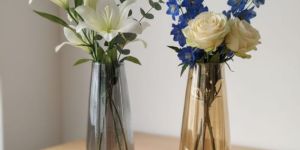 Glass Vases