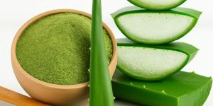 Organic Aloe Vera Powder