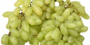 A Grade Seedless Green Grapes