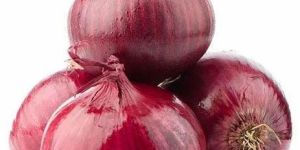 Farm Fresh Red Onion