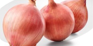 Fresh Farm Pink Onion